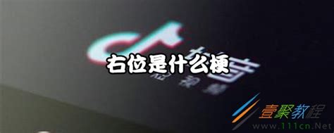 右位 意思|右位是什么意思